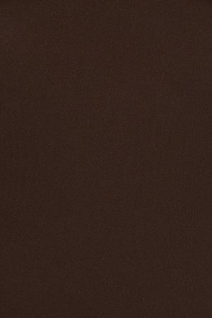 Sleek Plunge Halter Bodysuit