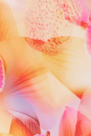 Cheeky Side Tie Bikini Bottom